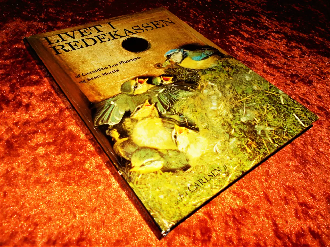 Billede 1 - Livet i redekassen, Geraldine Lux Flanagan, m.fl.