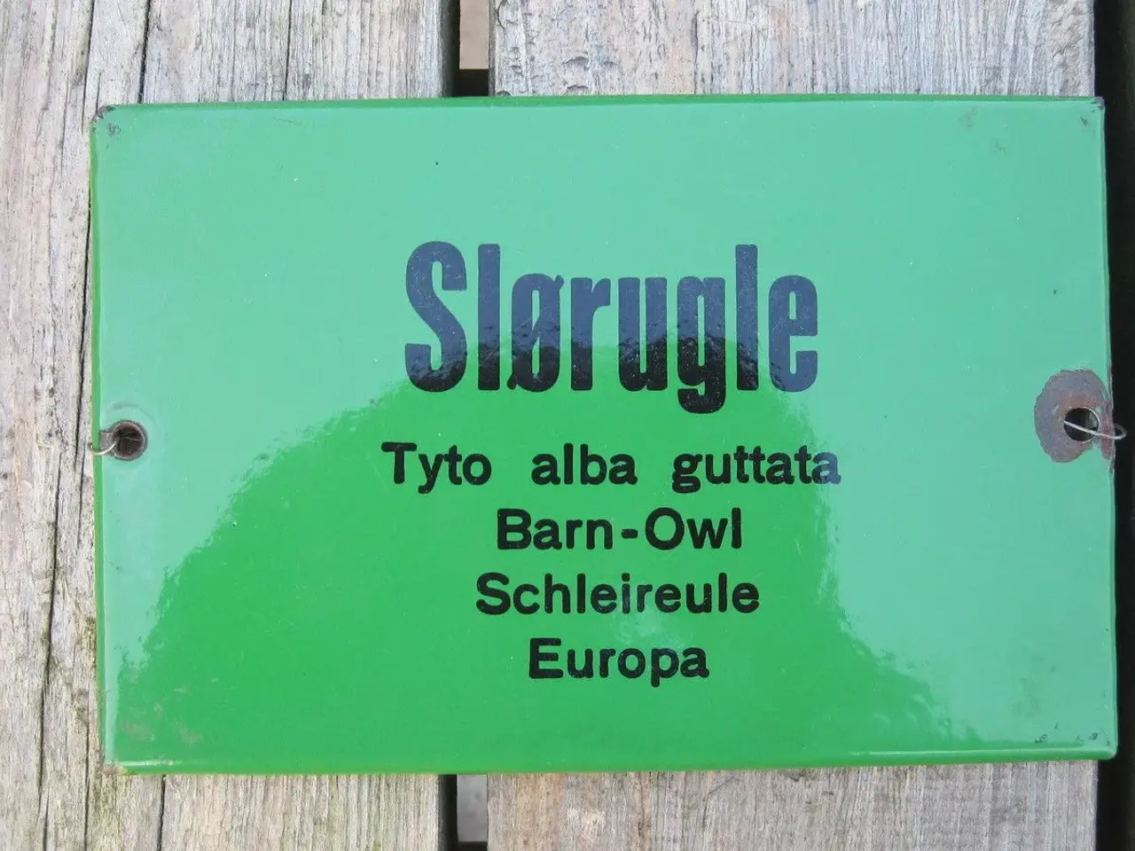 Billede 1 - Grønne ZOO emaljeskilte