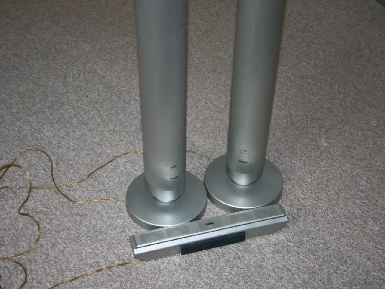Billede 3 - Højttaler Philips TS 9000 SUBWOOFER 8 OHM