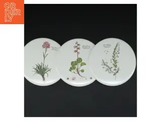 Dekorative porcelænstallerkener med botaniske motiver (str. 3 styk. ø. 15,5 cm)