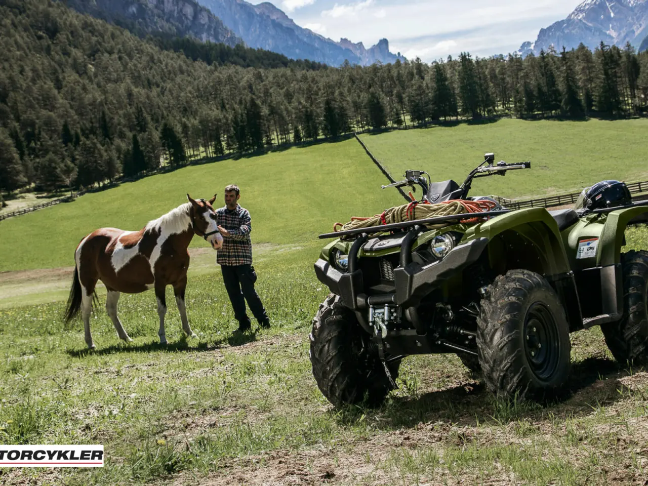 Billede 4 - Yamaha Kodiak 450 IRS