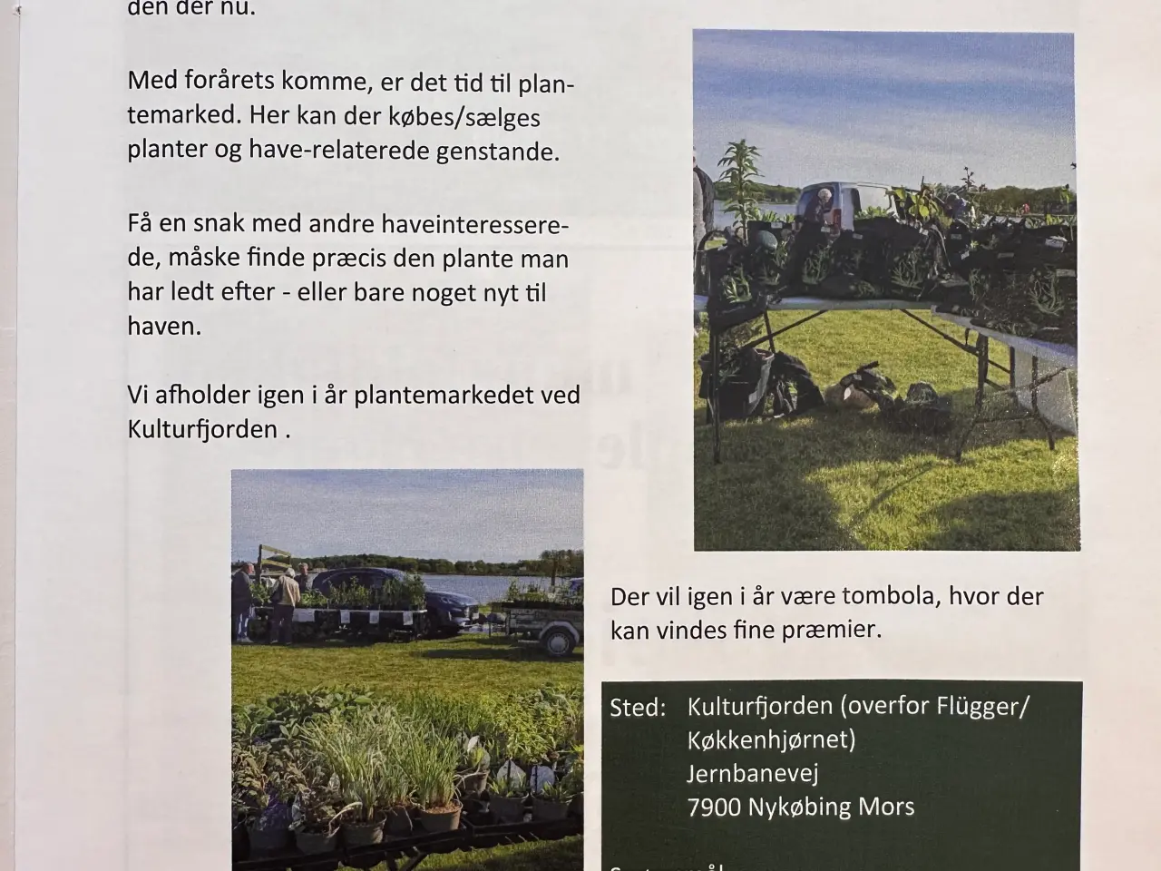 Billede 1 - Plantemarked ved fjorden