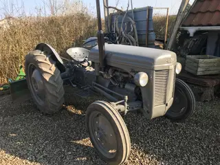 FERGUSON 31