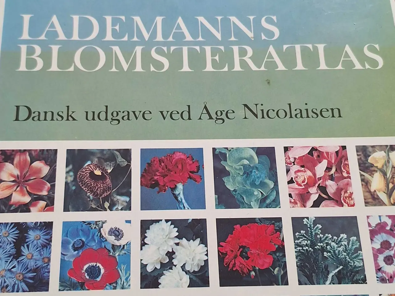 Billede 2 - Lademanns Blomsteratlas