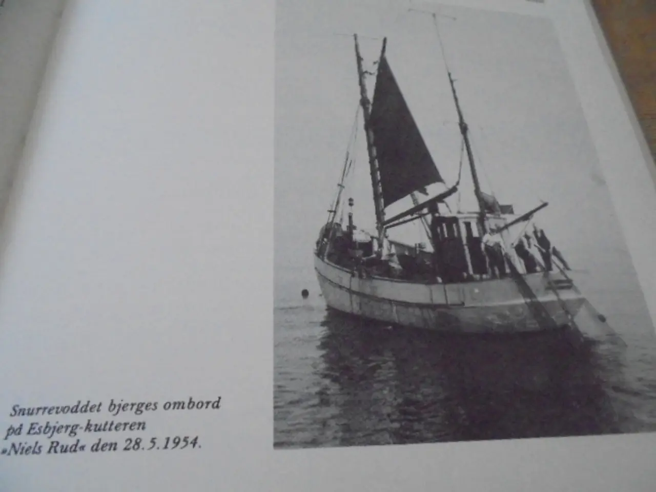Billede 2 - Vejen til Nordsøen - snurrevodsfiskeriet 1884-1903