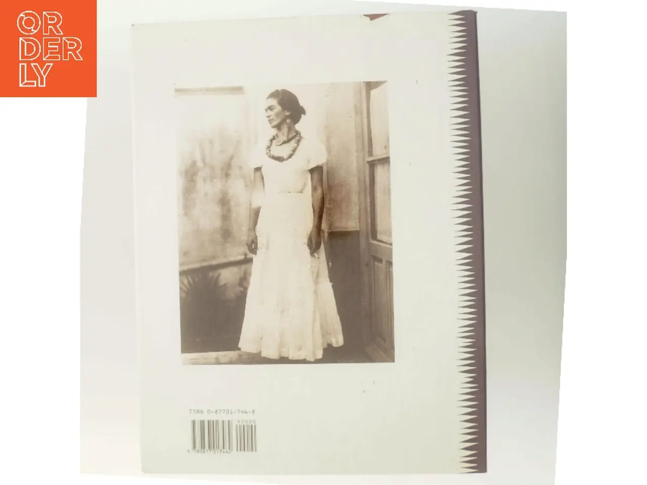 Billede 3 - Frida Kahlo : the brush of anguish af Martha Zamora (Bog)