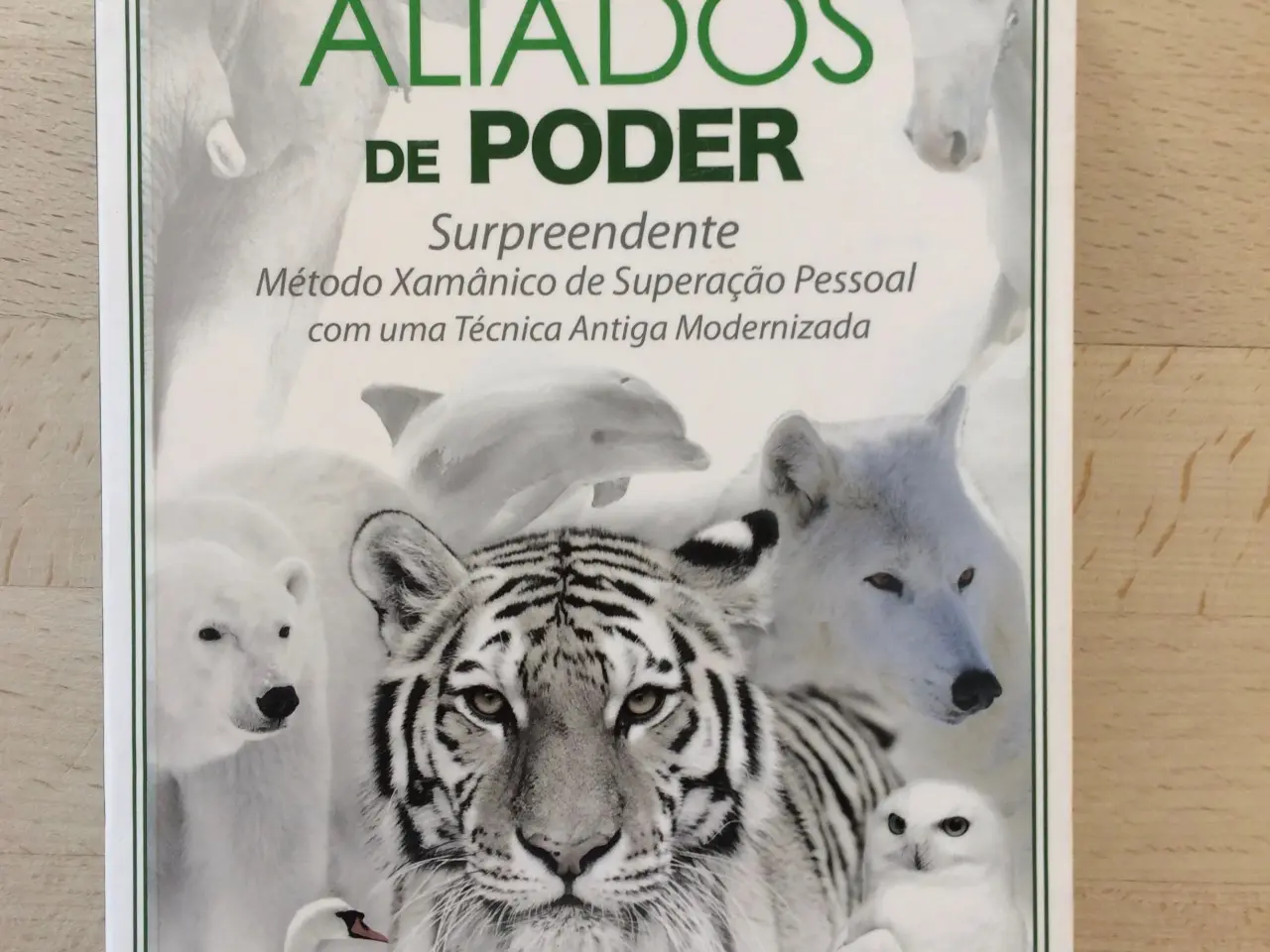 Billede 1 - Aliados de poder, Suryavan Solar