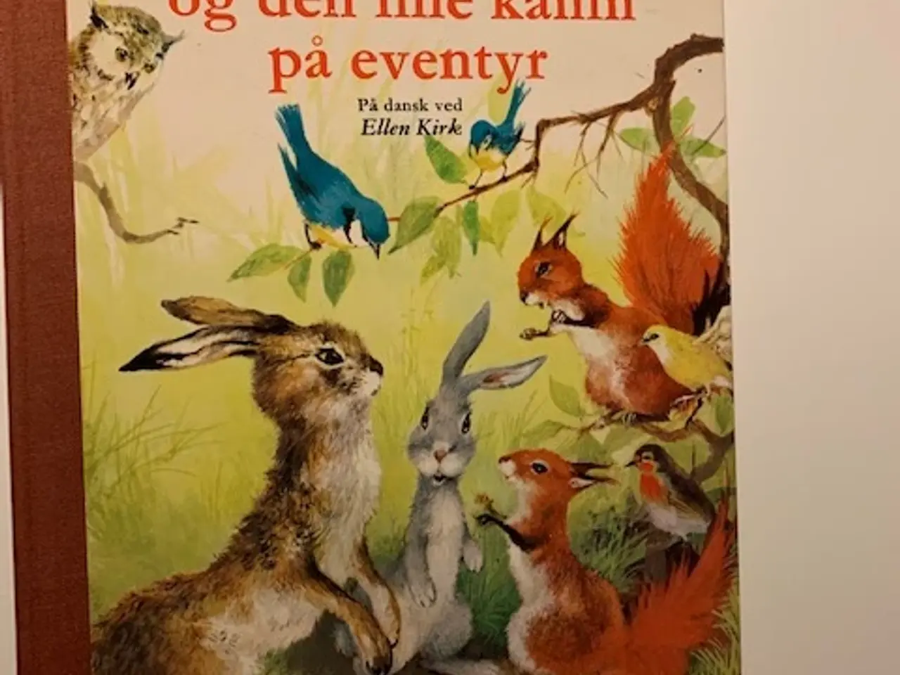 Billede 1 - Haren og den lille kanin på eventyr - illustreret