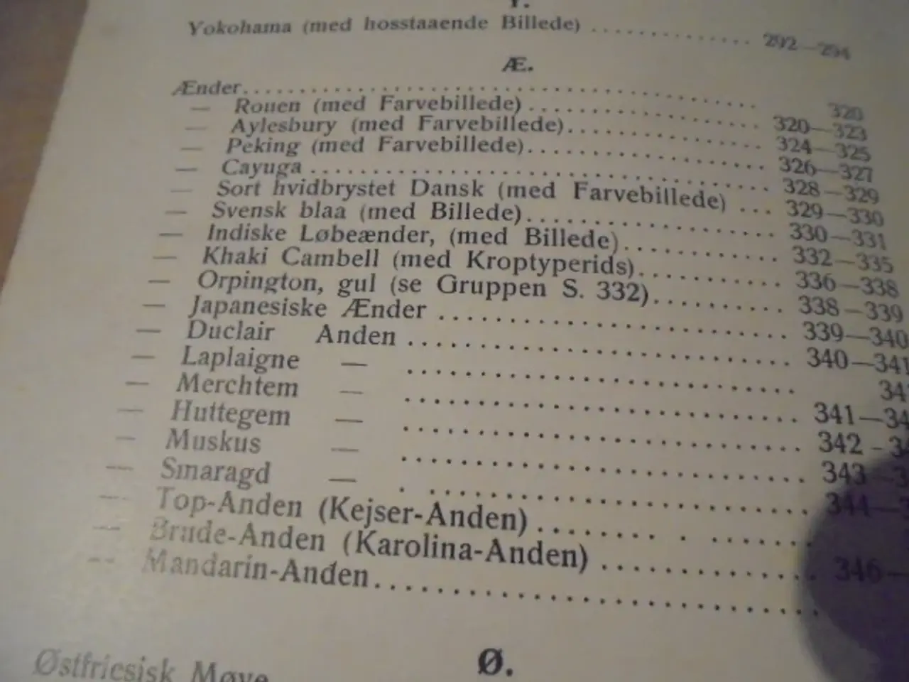 Billede 8 - Skandinavisk Fjerkræ Standard – fra 1934