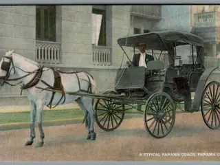 Panama Coach - Panana City - Ubrugt