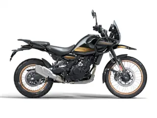 Royal Enfield Himalayan 450 Summit Hanle Black (slangeløs dæk)