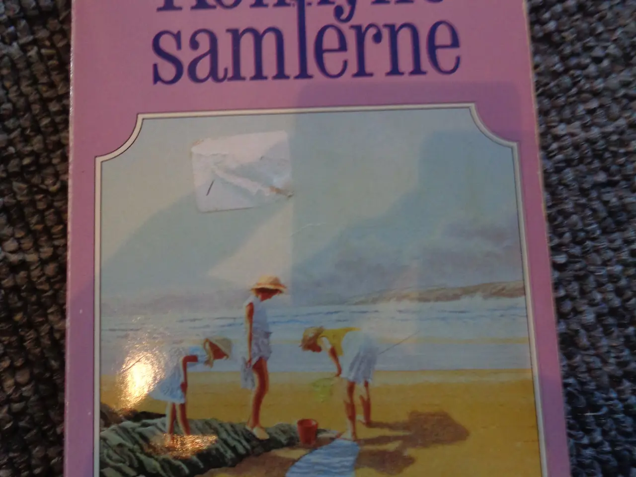 Billede 1 - Konkyliesamlerne
