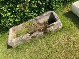 Stentrug