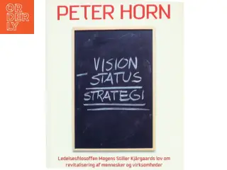 Vision minus status = strategi : ledelsesfilosoffen Mogens Stiller Kjärgaards lov om revitalisering af mennesker og virksomheder (Bog)