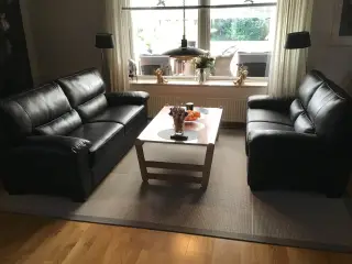 Læder sofaer 2X3