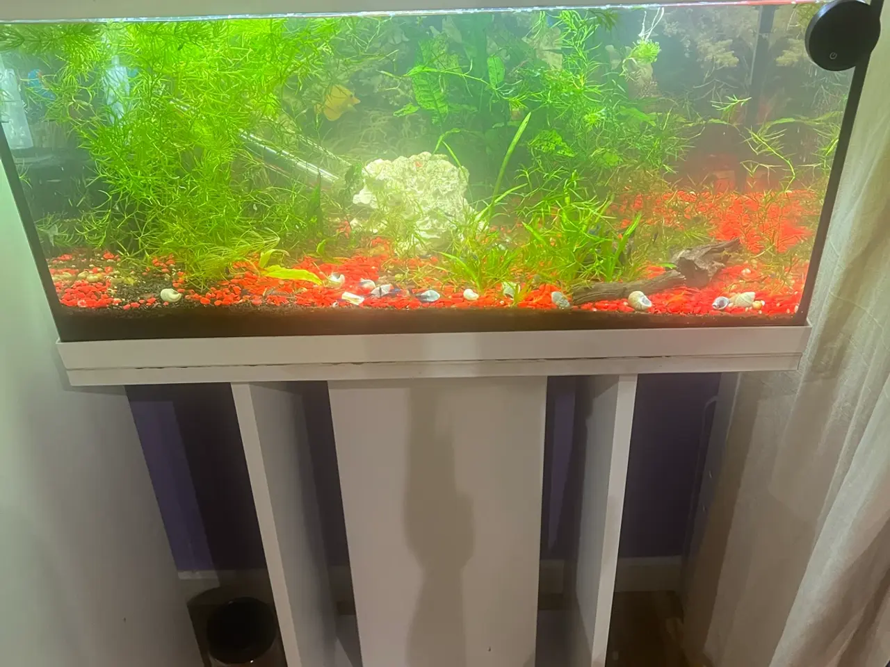 Billede 2 - Eheim akvarie