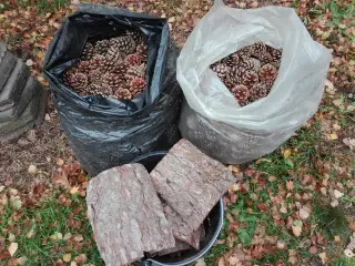Dekorationsmateriale og gran