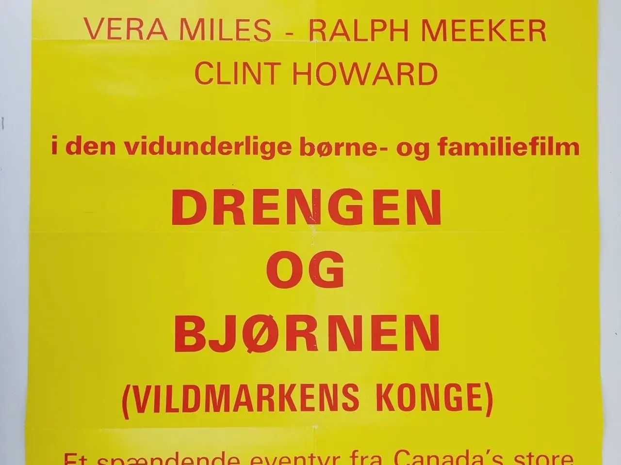 Billede 1 - ⭐️- Plakat: Vintage - Drengen og Bjørnen - Vildmar