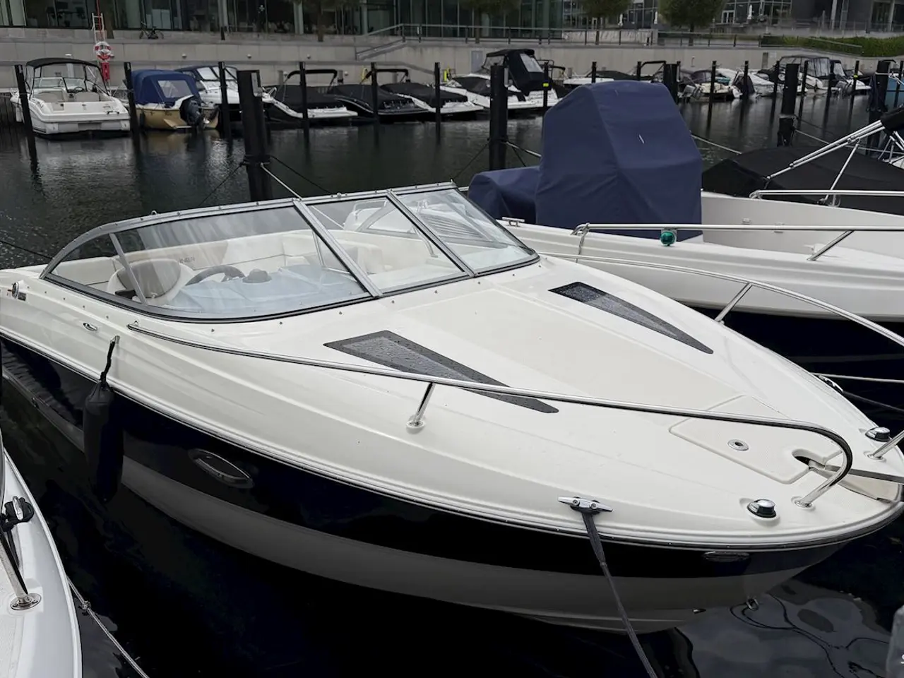 Billede 1 - Bayliner 642 Cuddy