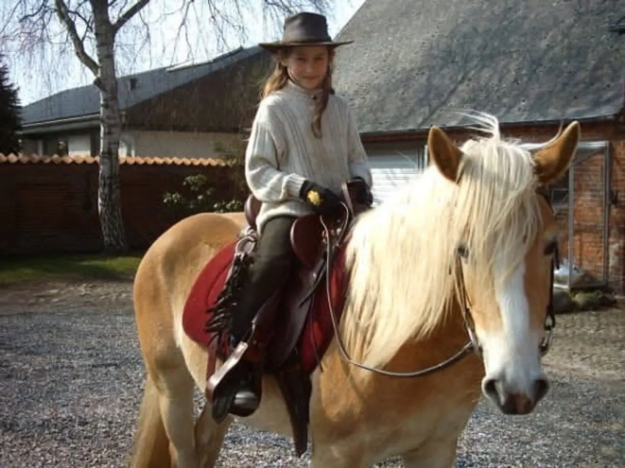 Billede 8 - Fine Western sadler