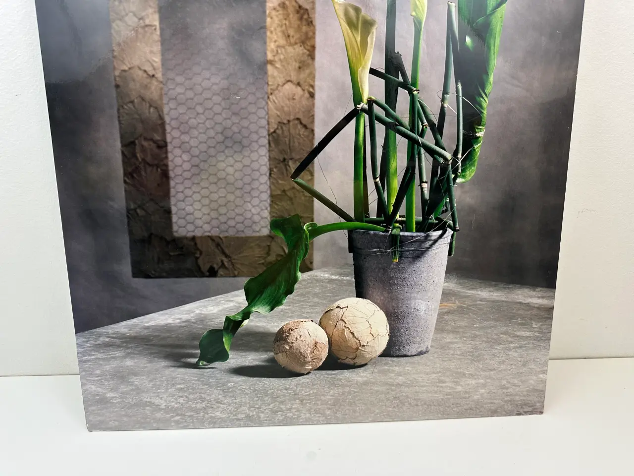 Billede 2 - Originalt foto-kunsttryk på plade (retro)