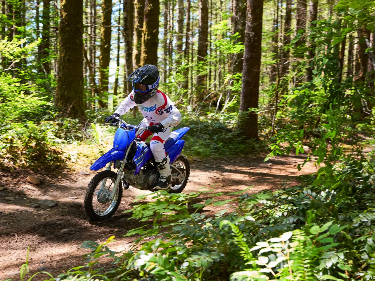 Billede 4 - Yamaha TT 110 R