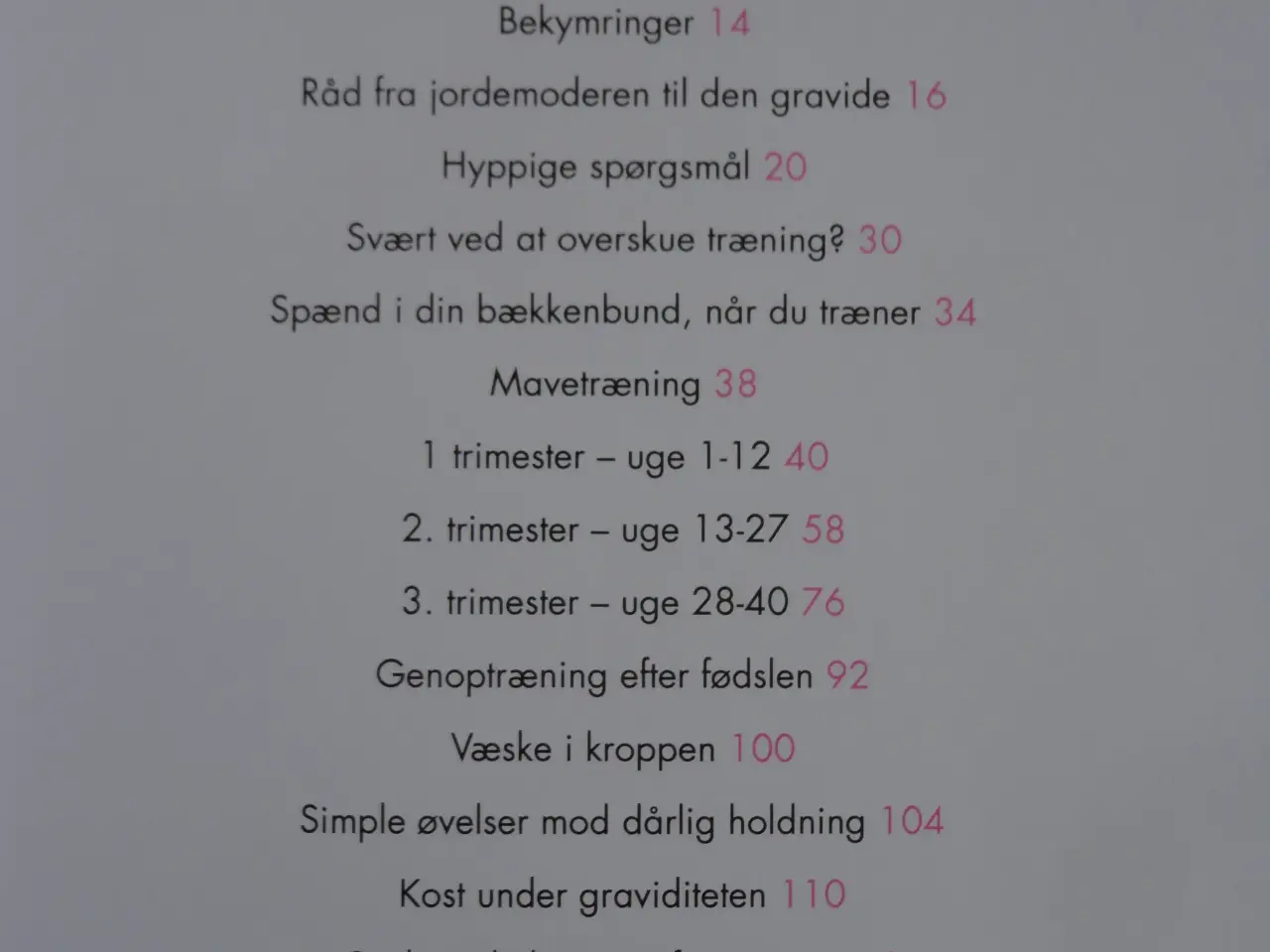 Billede 4 - G r a v i d  :