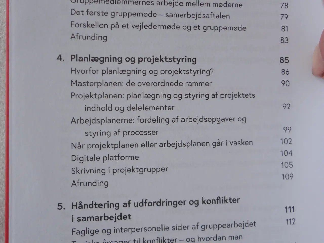 Billede 3 - Projektgruppen - hvordan gør vi ?