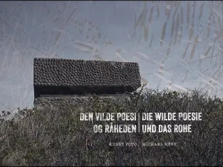 Den vilde poesi og råheden - Foto- og kunstbog