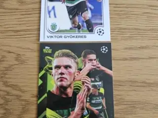 Sporting CP Viktor Gyökeres Fodboldkort