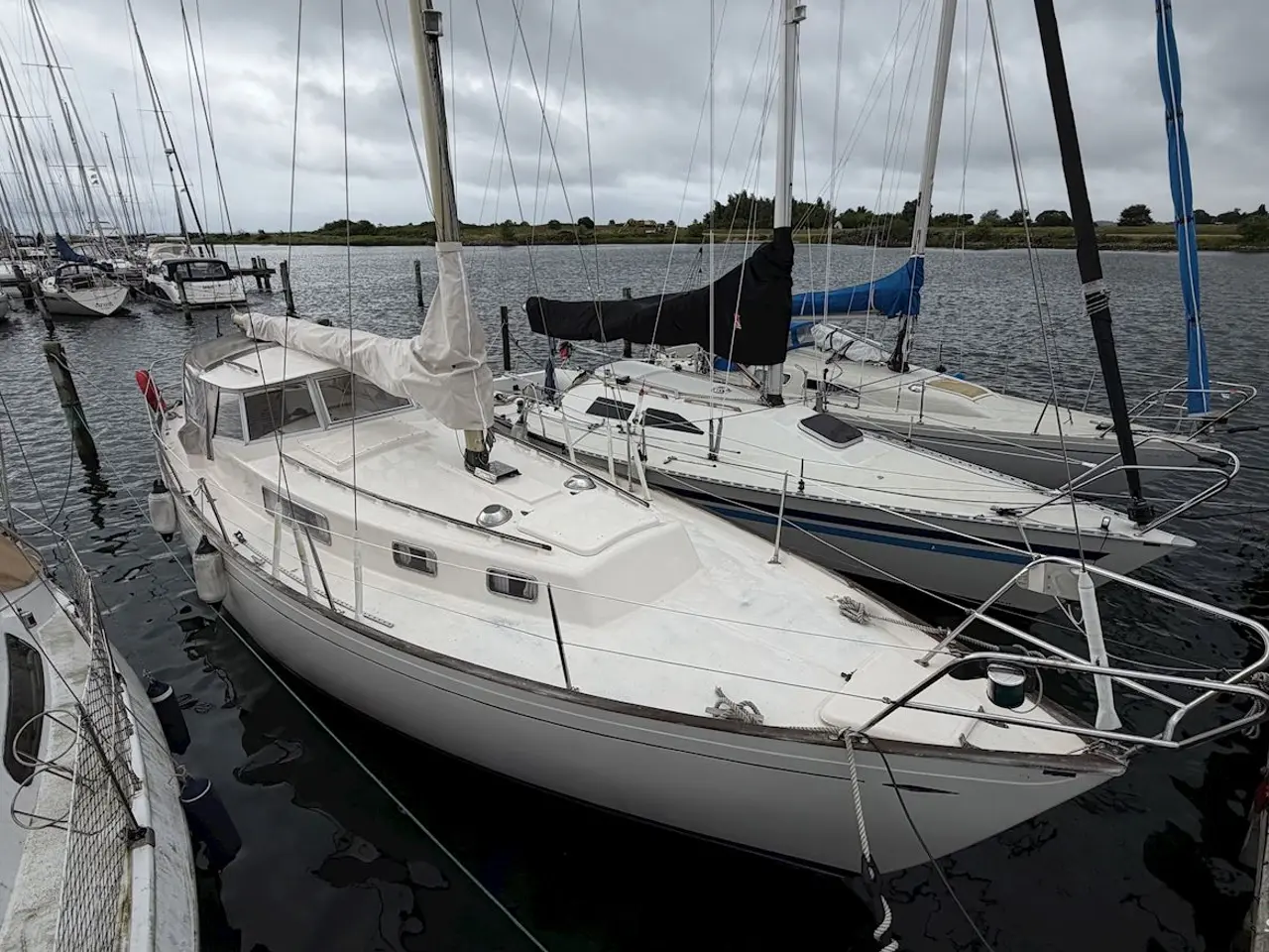 Billede 4 - Hallberg-Rassy Rasmus 35