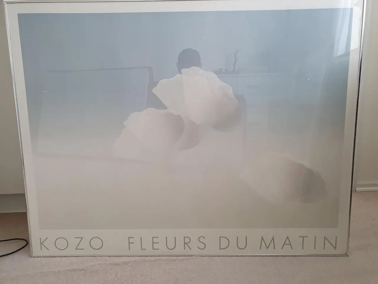 Billede 1 - Indrammet plakater i ramme af børstet stål m/ glas