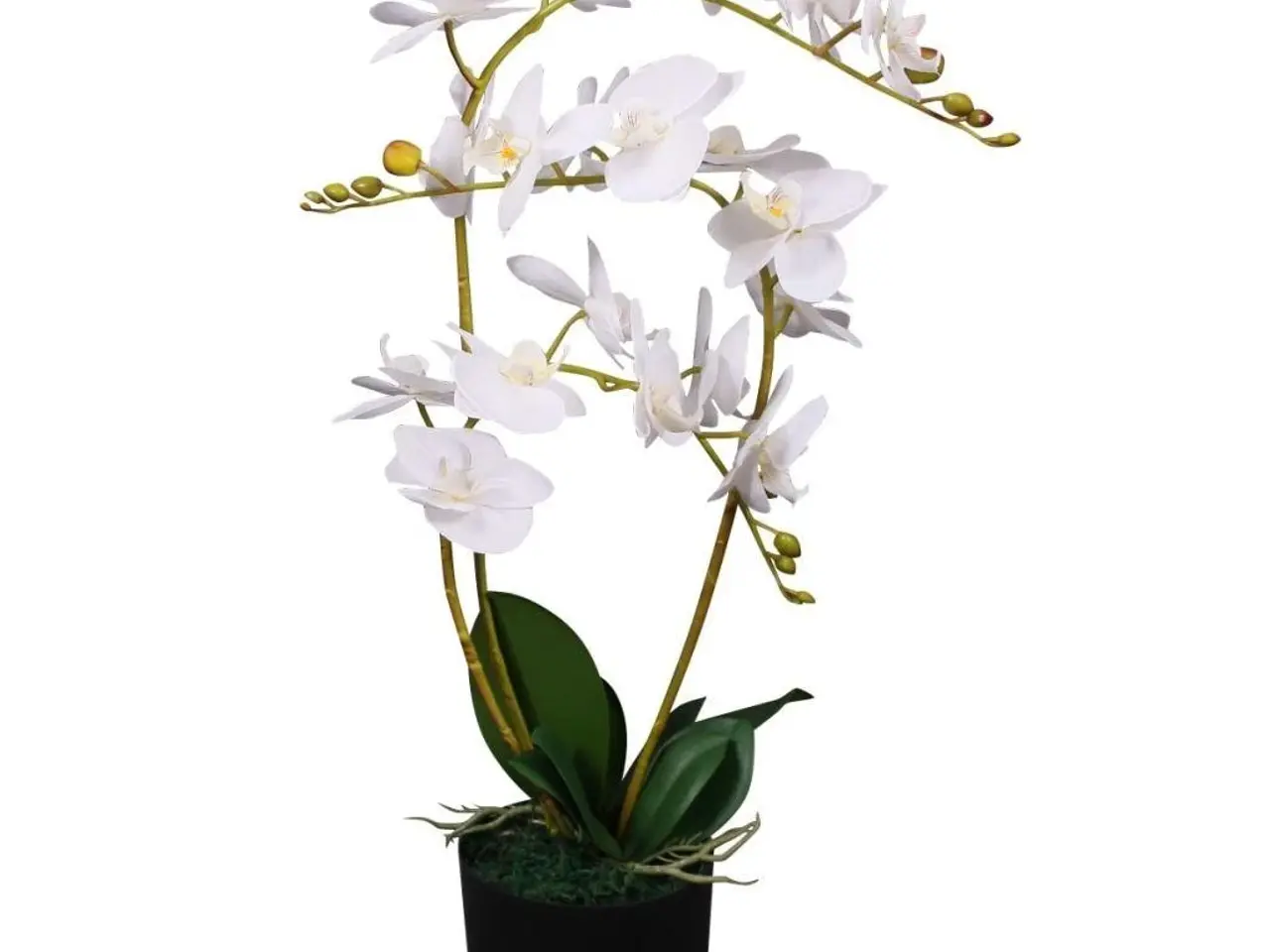 Billede 1 - Kunstig orkidé med potte - 65 cm, hvid