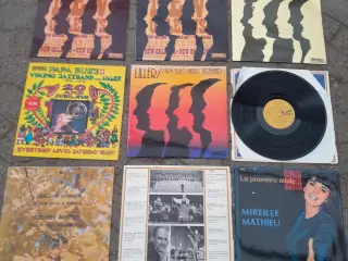 LP plader