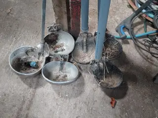 Drikkop