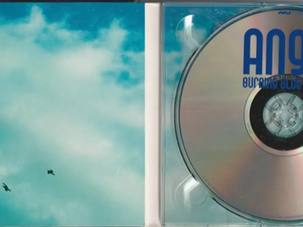 Billede 3 - Angu – Burning Blue Skies – CD