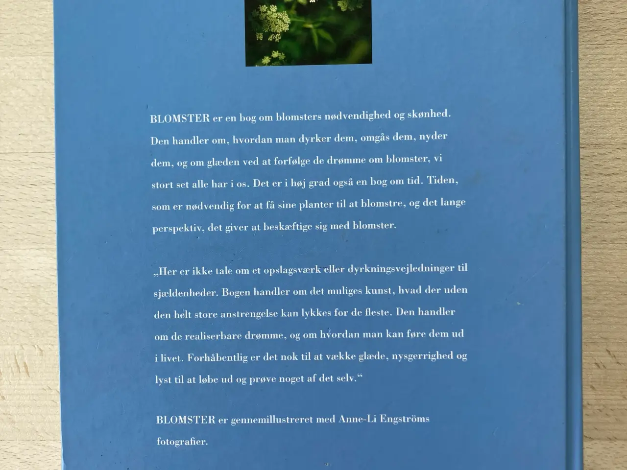 Billede 2 - Blomster, Camilla Plum