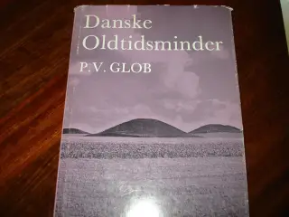 Danske Oldtidsminder