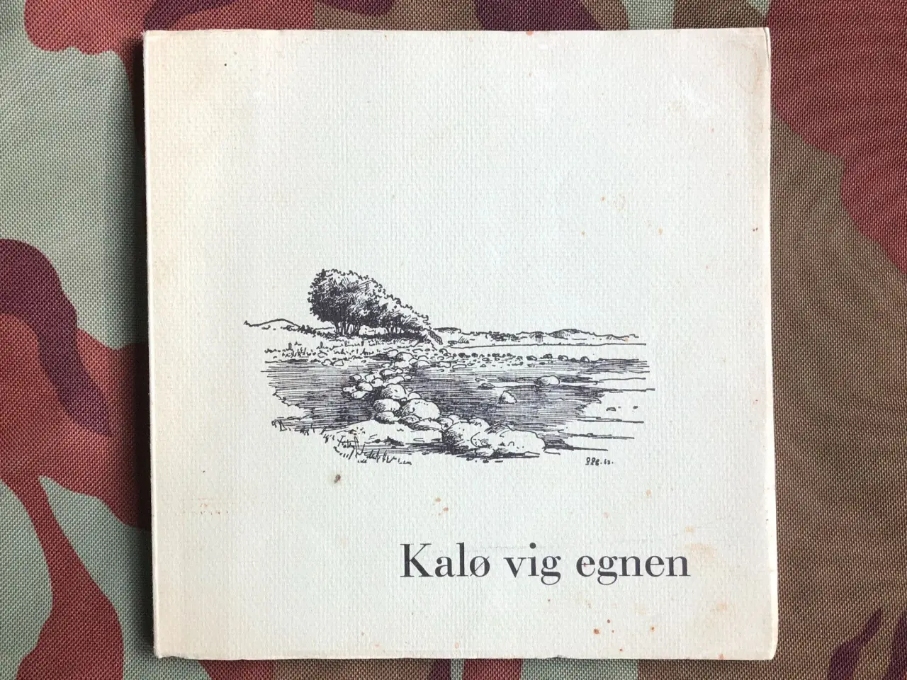 Billede 1 - Kalø vig egnen