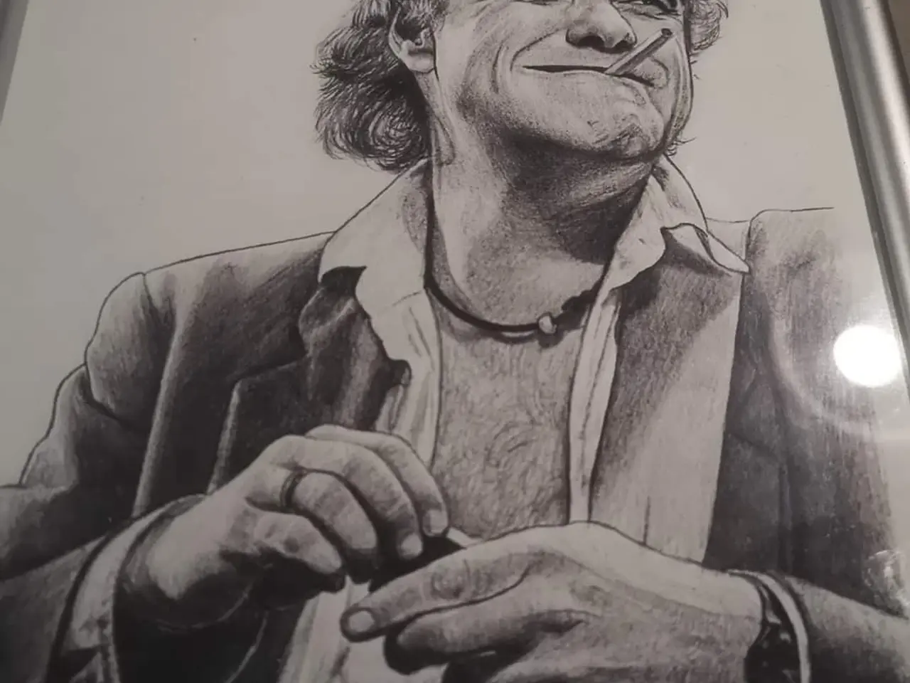 Billede 1 - Kim larsen plakater i ramme 