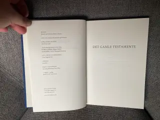 Bibelen Genfortalt af Bjarne Reuter