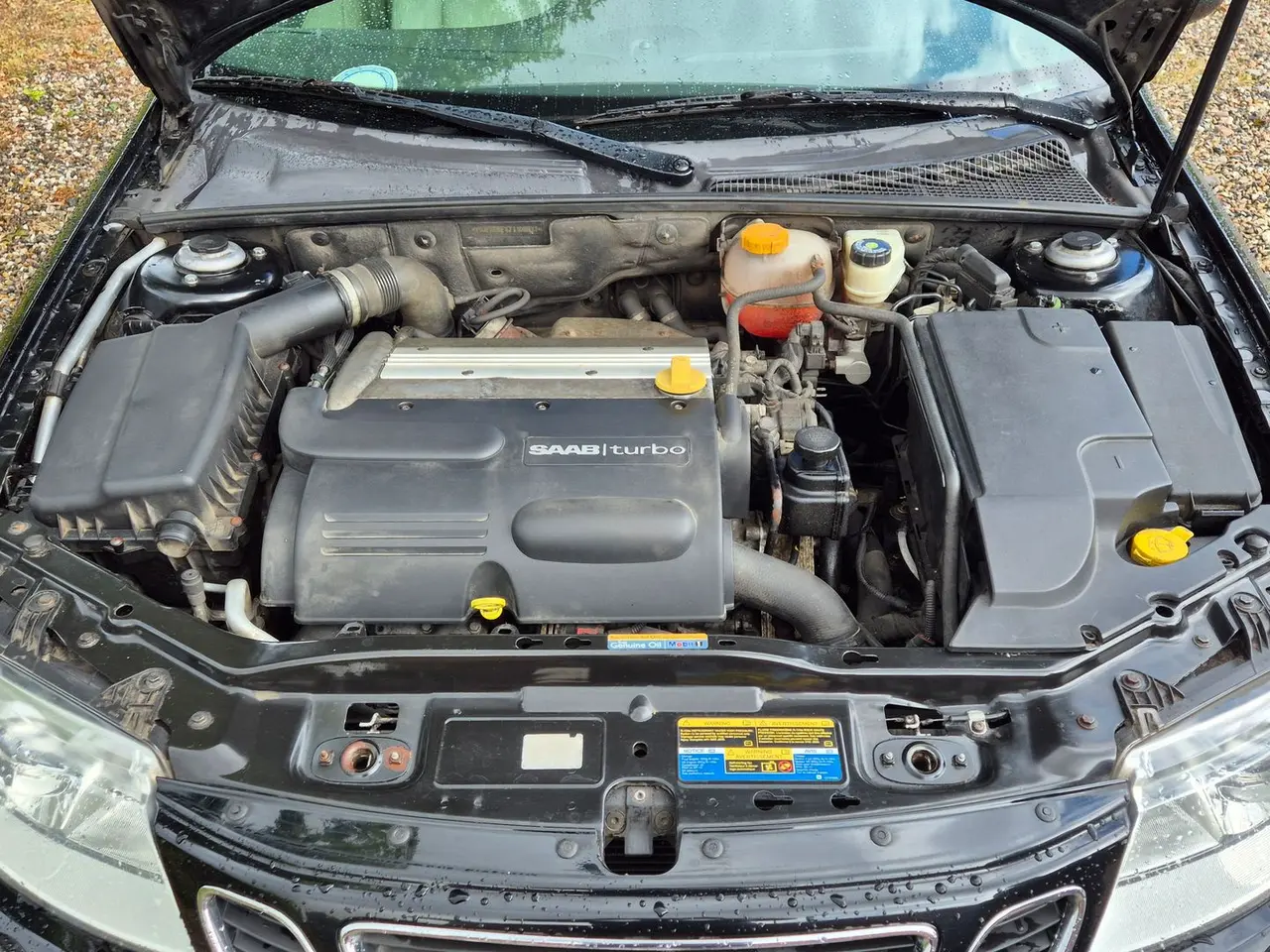 Billede 7 - Saab 9-3 / Sport Combi / 1.8 T / anhængertræk / passet med service