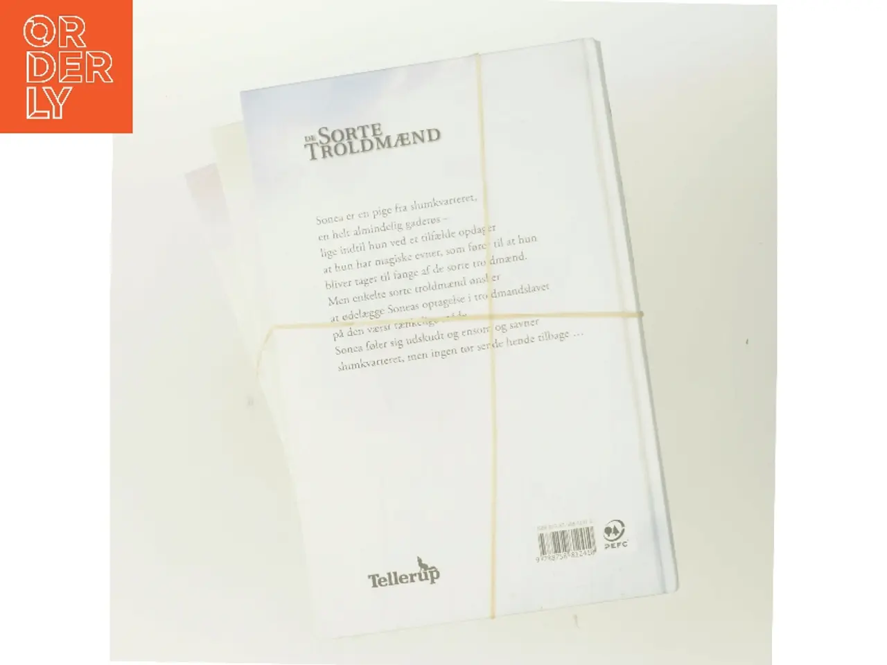Billede 3 - De sorte troldmænd. Bind 1, Troldmandslavet af Trudi Canavan (Bog)