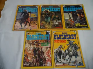 Blueberry 5 stk flotte 30 kr stk