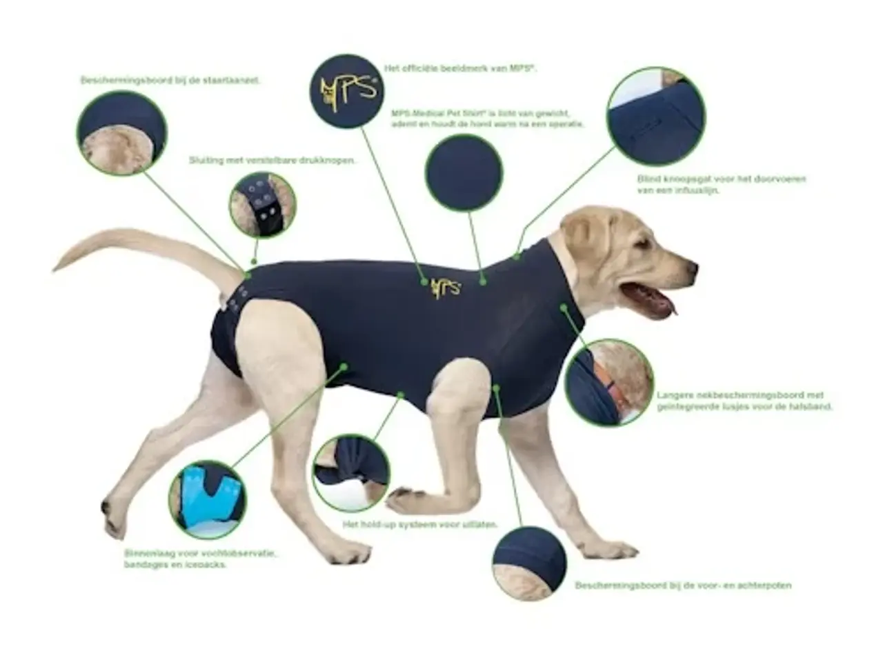 Billede 3 - Medical Pet Shirt hund - blå Xxxxs