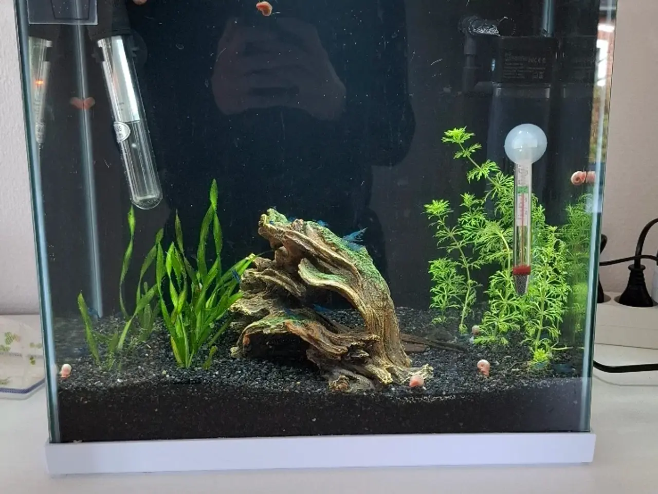 Billede 1 - komplet akvarie