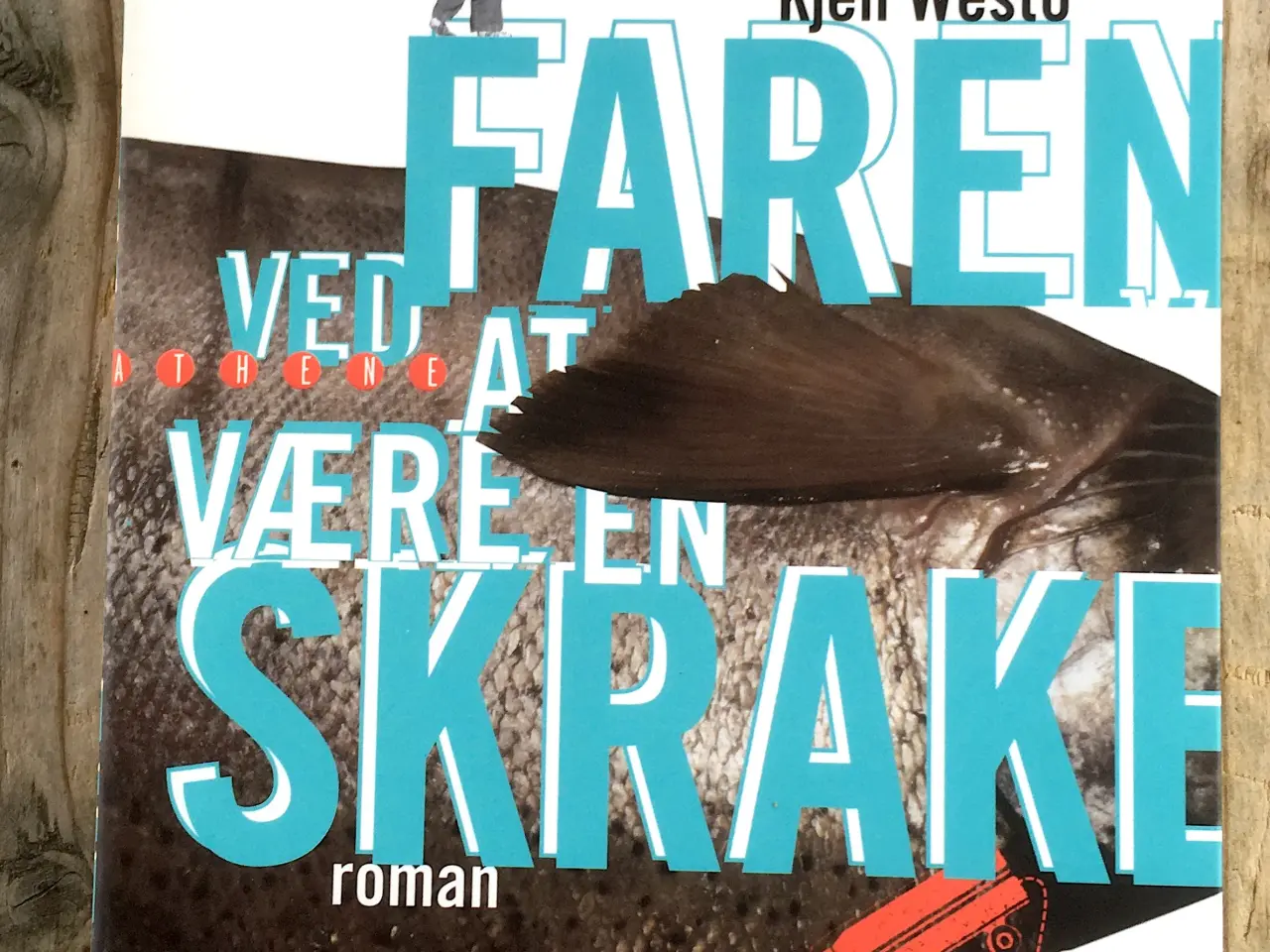 Billede 1 - Faren ved at være en Skrake, Kjell Westö