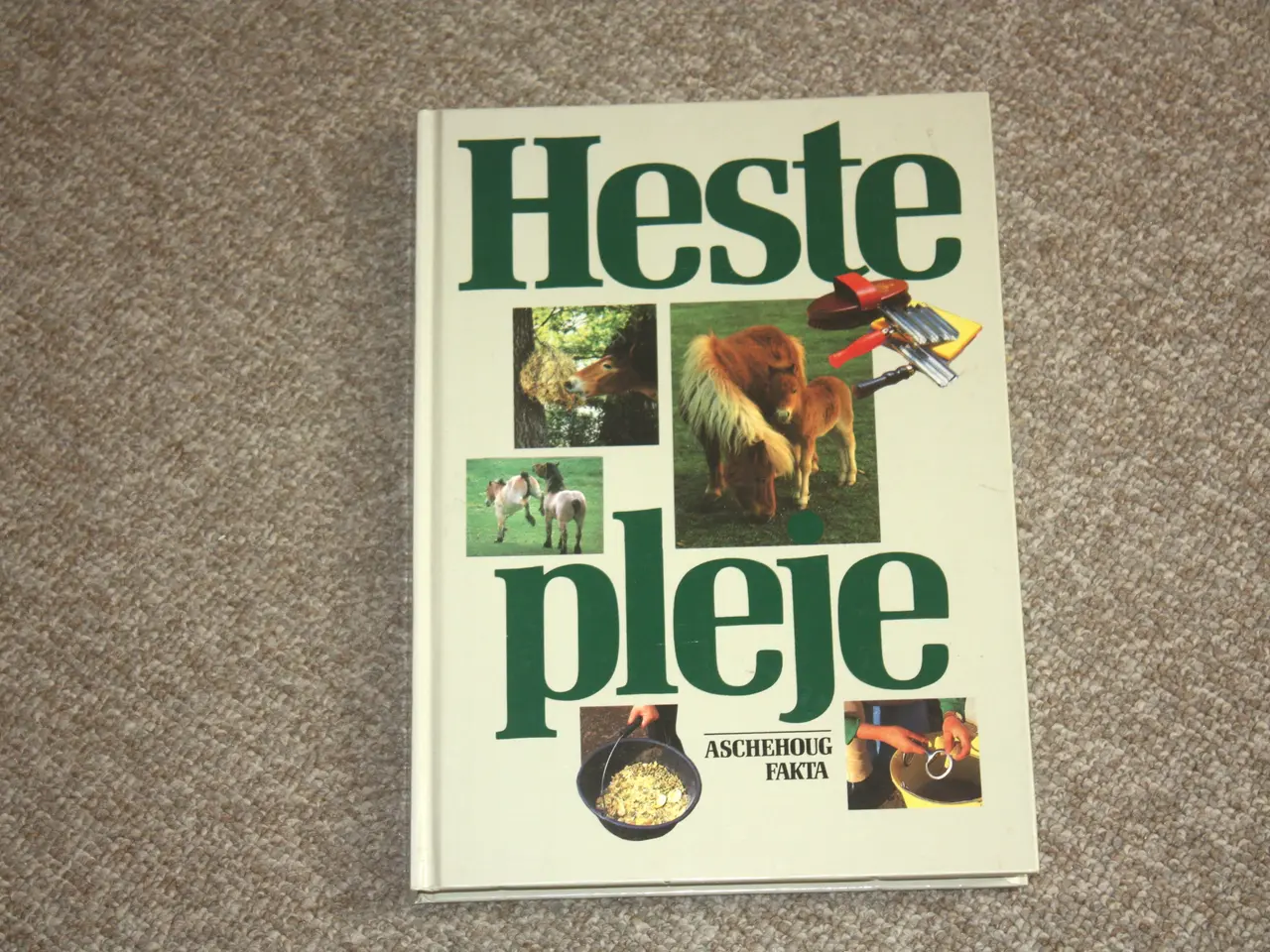 Billede 1 - Hestepleje af Dinny Lund
