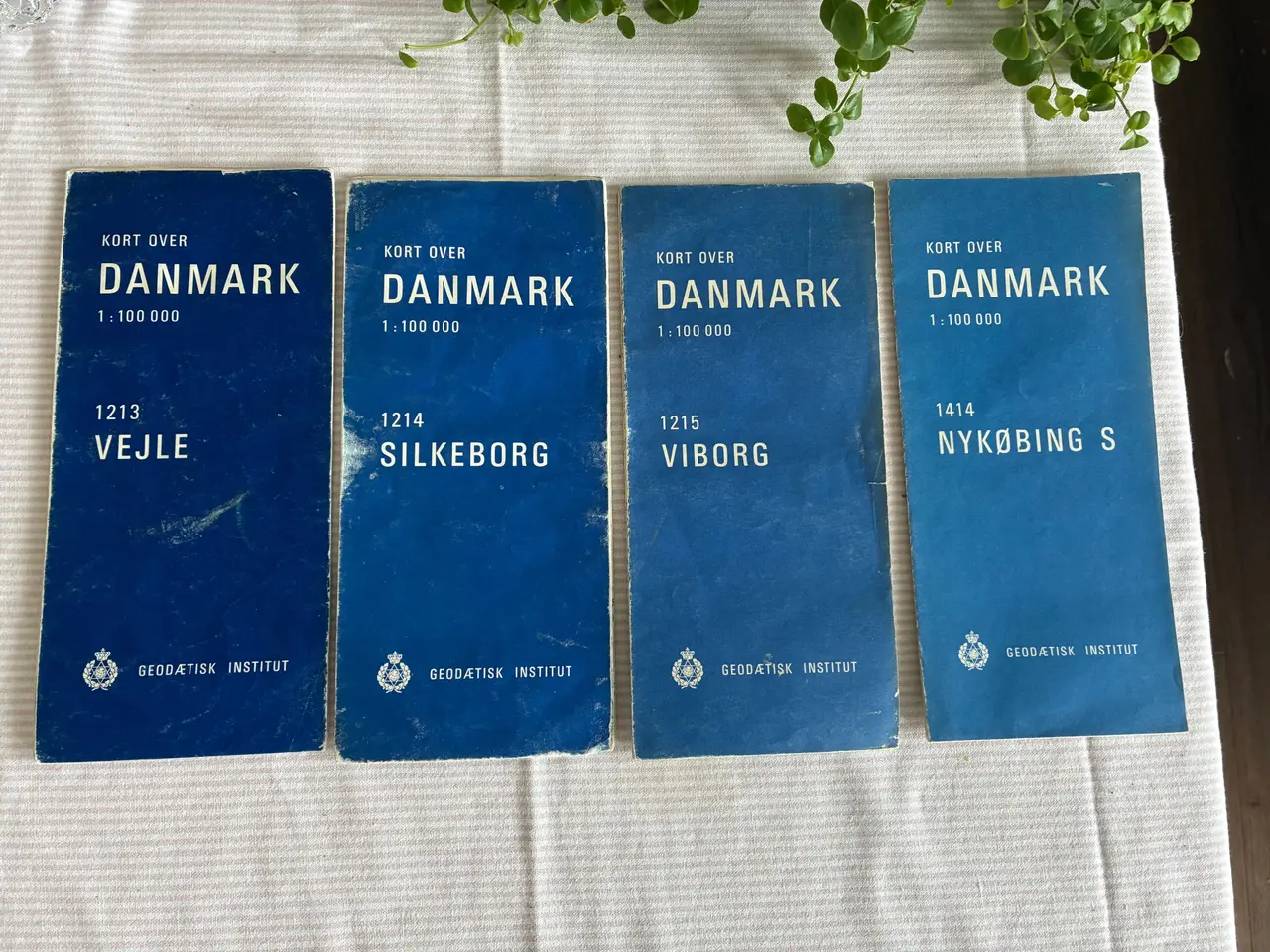Billede 1 - Kort over Danmark 1:100 000