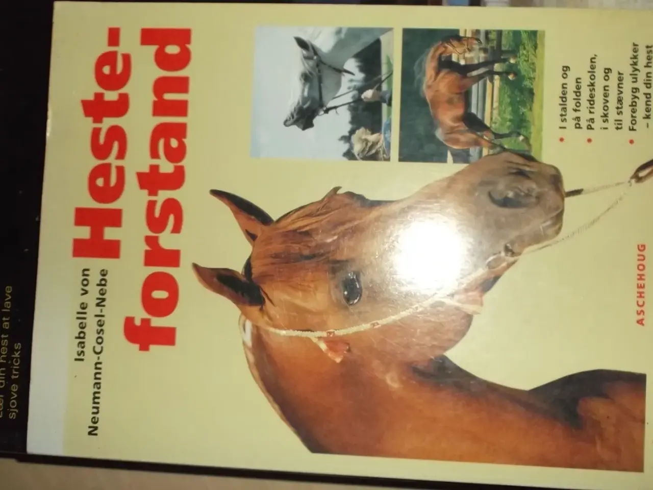 Billede 3 - 4 uindbundne hestebøger